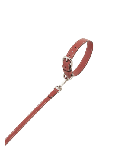 TERRE DI SIENA COLLAR TERRE DI SIENA COLLAR