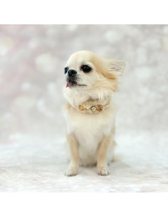 POSH DIAMOND COLLAR BEIGE 2