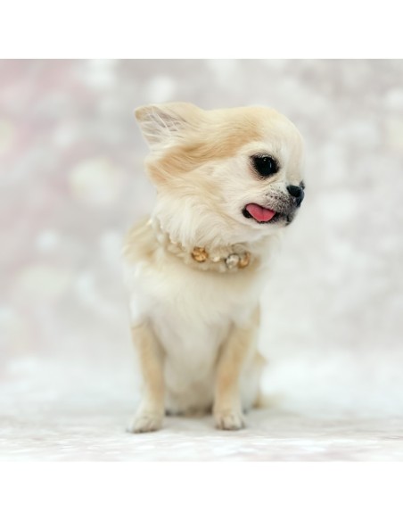 POSH DIAMOND COLLAR BEIGE