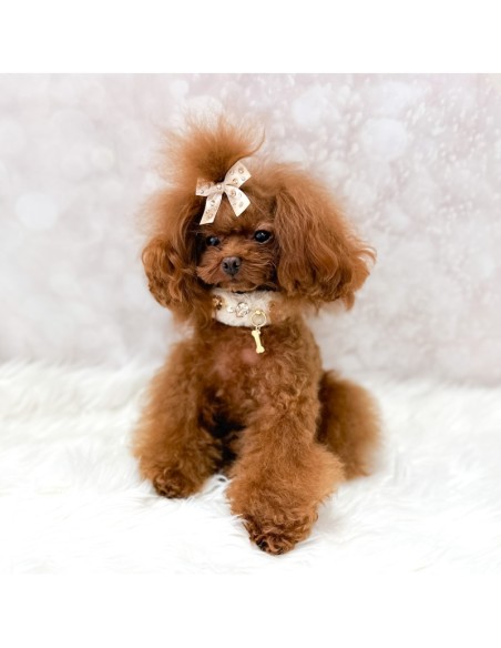 POSH DIAMOND COLLAR BEIGE