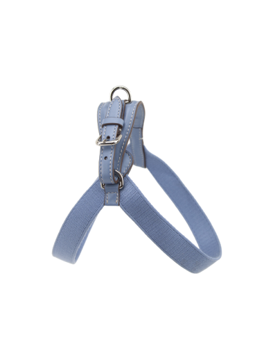 BLUE SUGAR ARIA HARNESS 1 CLOSURE