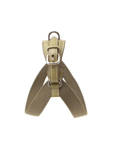 OLIVE ARIA HARNESS