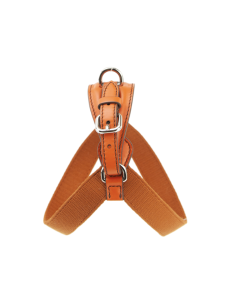 ORANGE ARIA HARNESS 1 CLOSURE