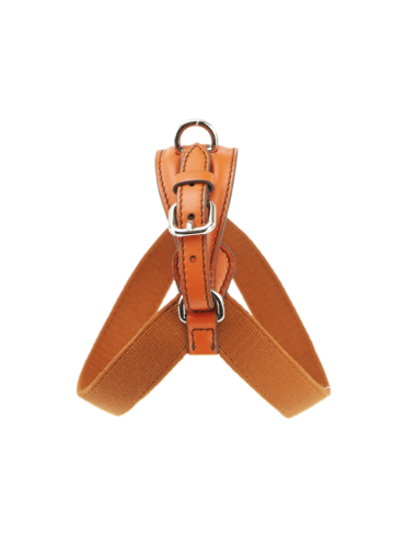 ORANGE ARIA HARNESS