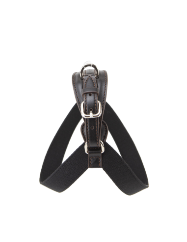 CHOCO ONYX ARIA HARNESS