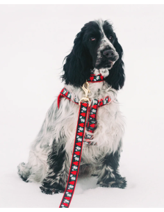 HEARTS AND FLOWERS HARNESS 2