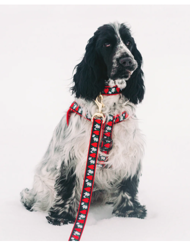 HEARTS AND FLOWERS HARNESS HEARTS AND FLOWERS HARNESS
