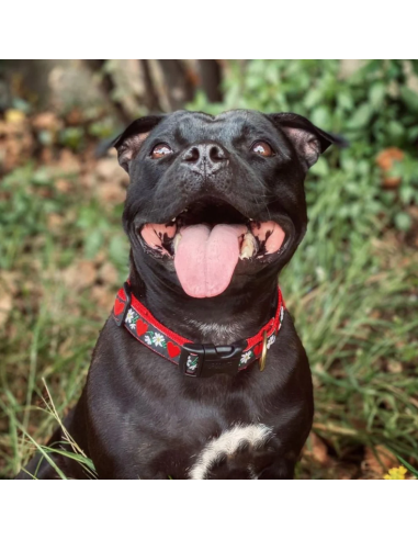 HEARTS AND FLOWERS COLLARE