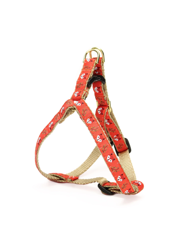 FOXY HARNESS