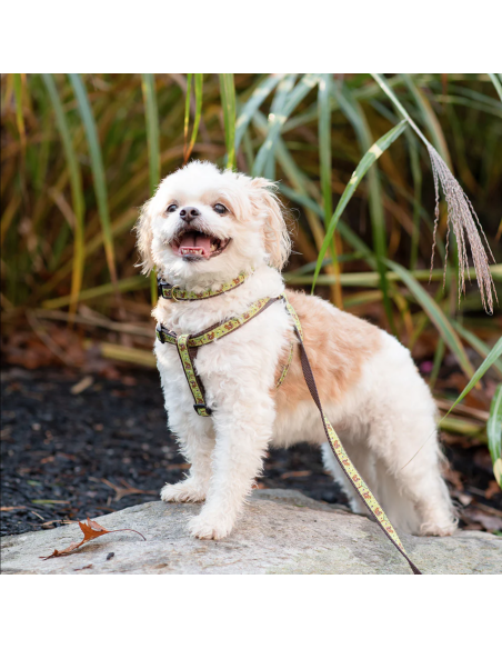 NUTS HARNESS