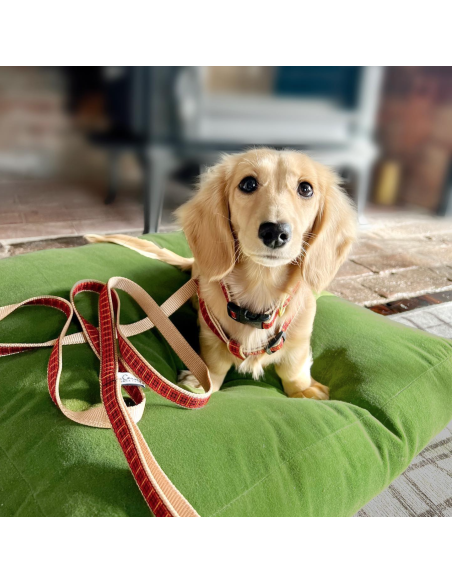 NEW RED PLAID LEAD