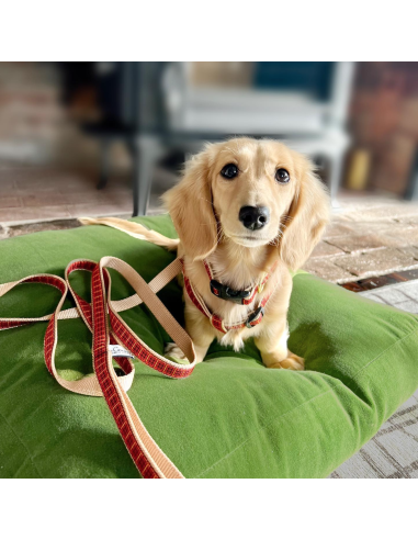 NEW RED PLAID HARNESS NEW RED PLAID HARNESS
