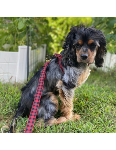 BUFFALO CHECK HARNESS 2