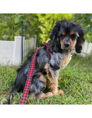 BUFFALO CHECK HARNESS BUFFALO CHECK HARNESS