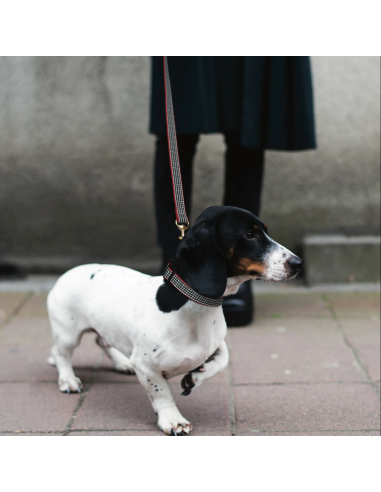 CLASSIC BLACK HOUNDSTOOTH COLLAR CLASSIC BLACK HOUNDSTOOTH COLLAR