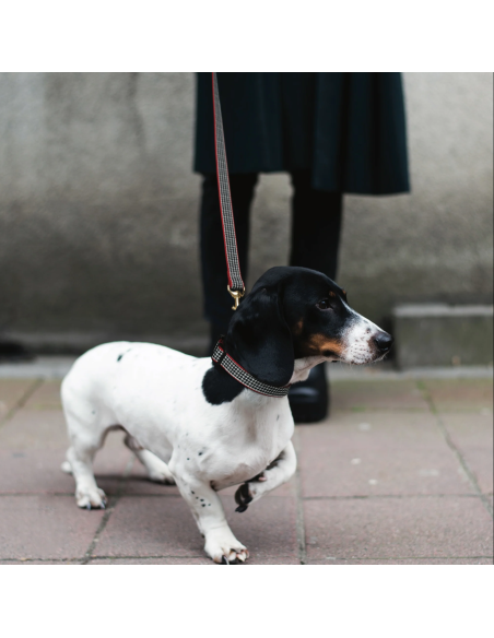 CLASSIC BLACK HOUNDSTOOTH COLLAR