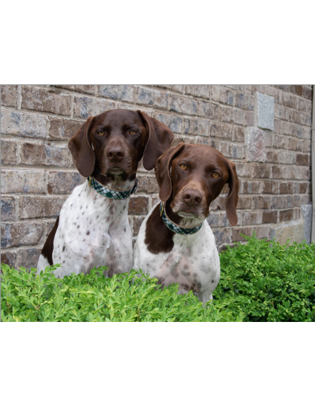 GORDON PLAID COLLARE