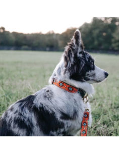 SEDONA COLLAR 2