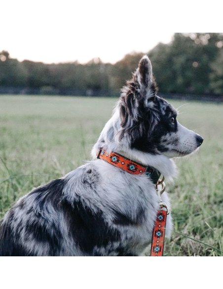 SEDONA COLLAR