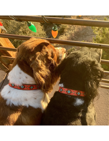 SEDONA COLLAR SEDONA COLLAR
