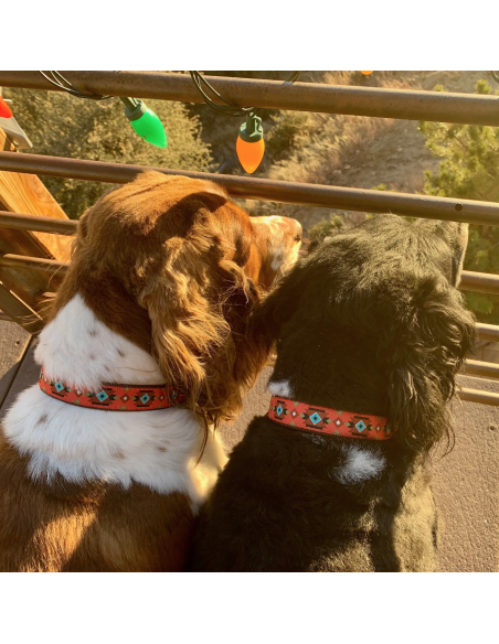 SEDONA COLLAR