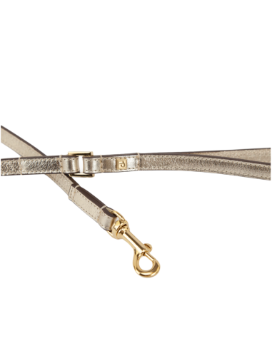 BASIC LEATHER LEASH PLATINUM