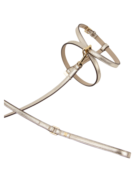 PLATINUM LEATHER BASIC HARNESS