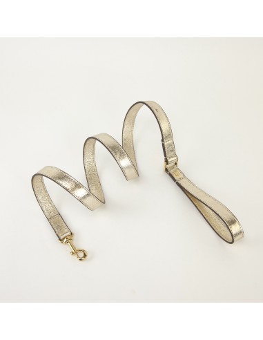 BASIC LEATHER LEASH PLATINUM