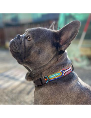 NEW MASAI COLLAR NEW MASAI COLLAR