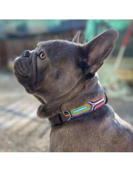 NEW MASAI COLLAR