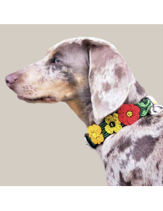 MIX POPPIES COLLAR 2