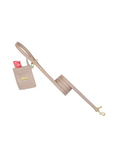 MY MICRO POCHETTE SKIN/GOLD 2