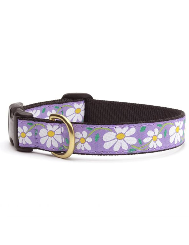 DAISY COLLAR