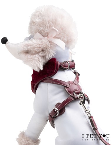 CHIANTI NUVOLA HARNESS