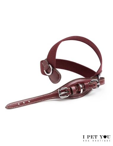 PETTORINA ARIA CHIANTI