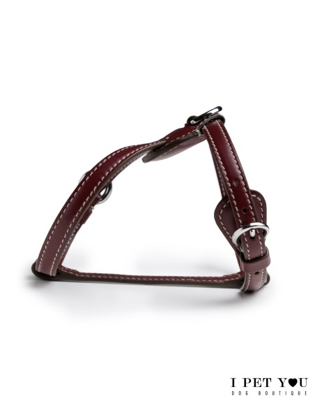 CHIANTI NUVOLA HARNESS