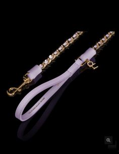 LILY ICON LEAD