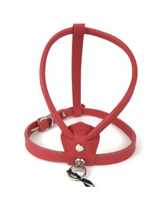 BASIC LEATHER HARNESS RED 2