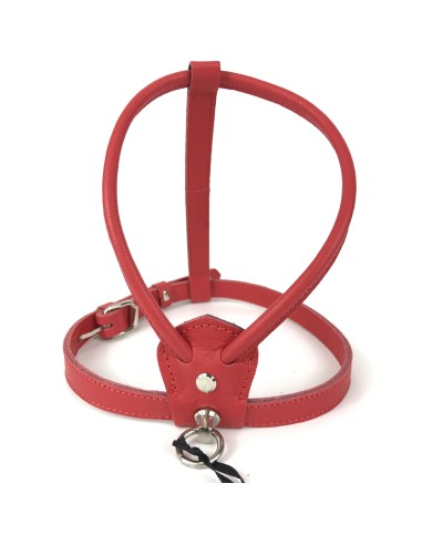 BASIC LEATHER HARNESS RED
