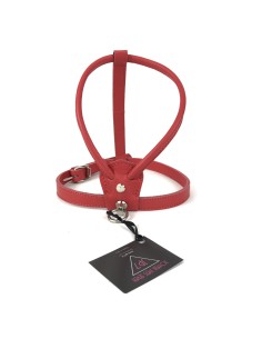 BASIC LEATHER HARNESS RED