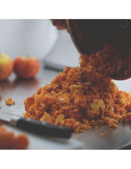 CAVALLO - VASOCOTTURA CAVALLO - VASOCOTTURA